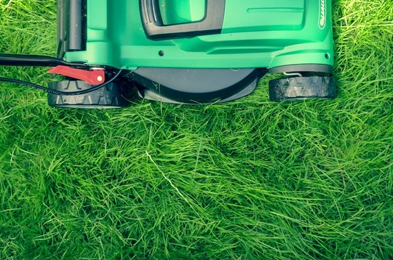Zielona kosiarka kosząca trawę